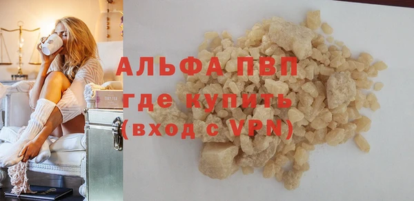 дживик Надым