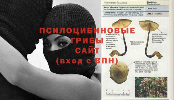 спайс Михайловск