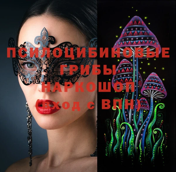 дживик Надым