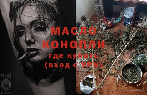 шишки Куртамыш
