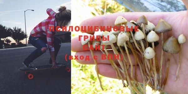 скорость Михайловка