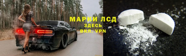 шишки Наволоки