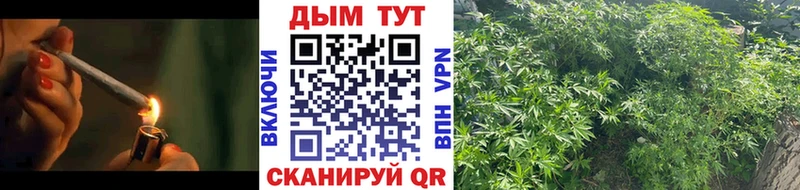 купить наркоту  Пошехонье  Шишки марихуана конопля 